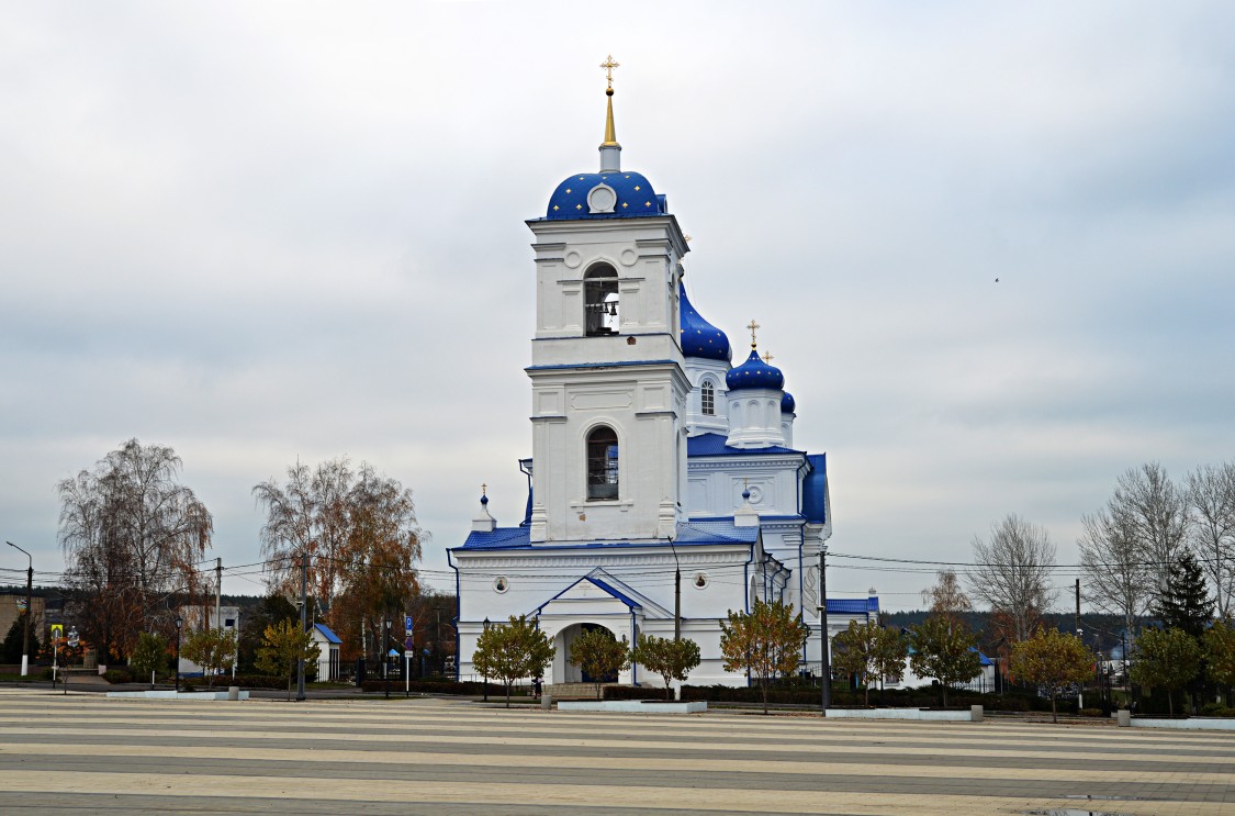 Церковь Петра и Павла, Репьёвка (Репьёвский район, Воронежская область). фасады, Общий вид на ландшафте