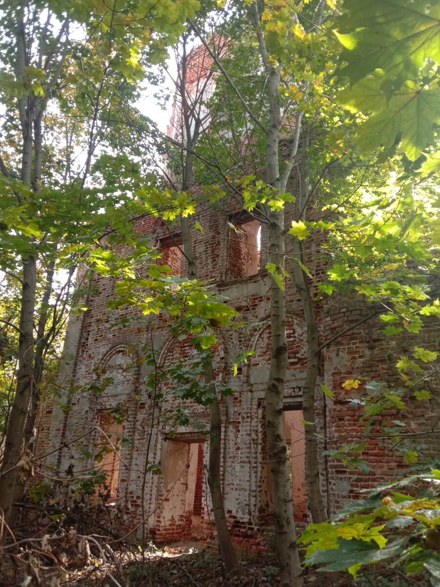 Церковь Спаса Преображения, Спасское (Чернский район, Тульская область). фасады