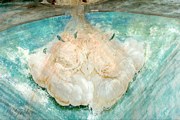 Церковь Казанской иконы Божией Матери, роспись сводов храма<br>, Юрьевское, Ростовский район, Ярославская область