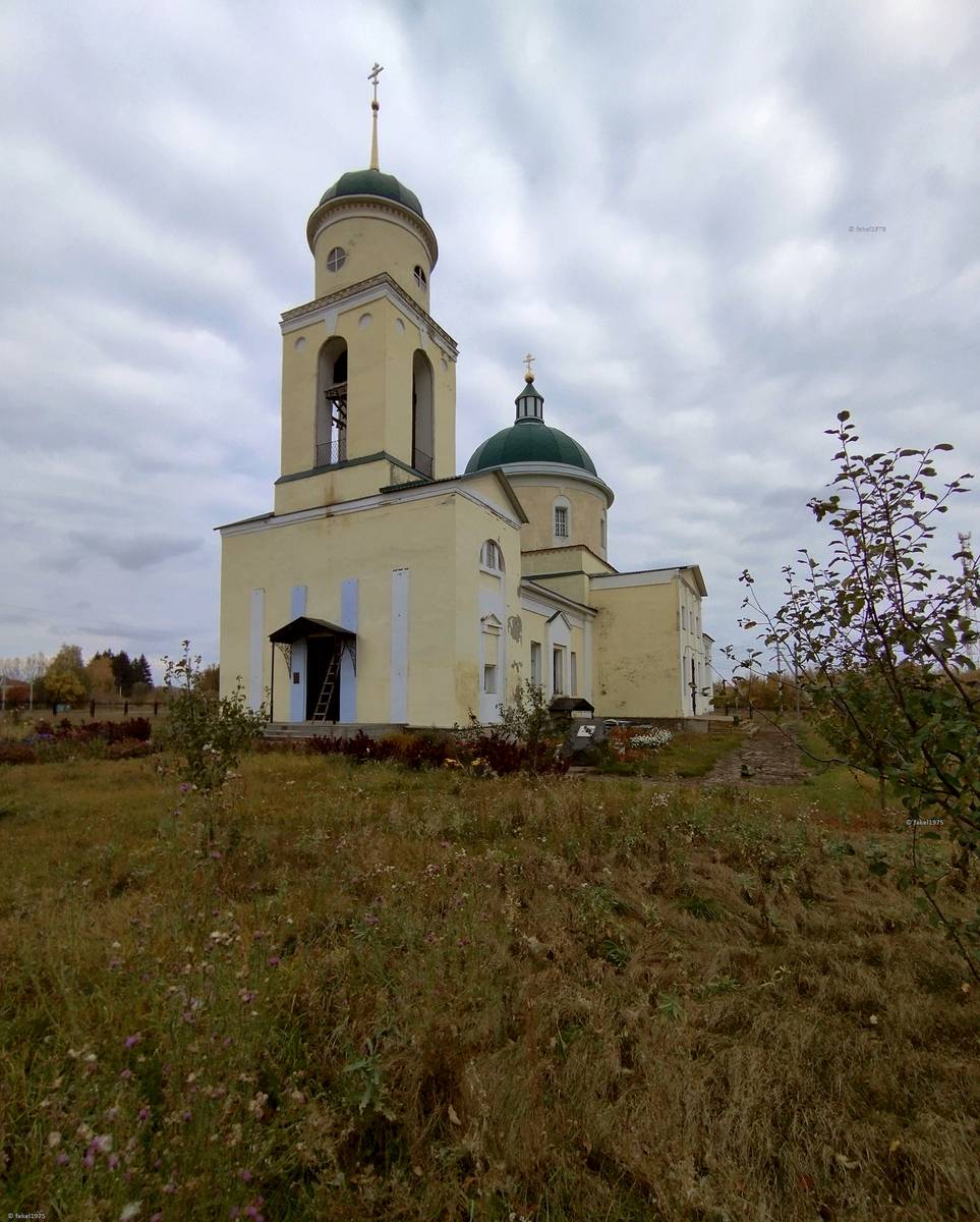 Церковь Богоявления Господня, Свишни (Долгоруковский район, Липецкая область). общий вид в ландшафте