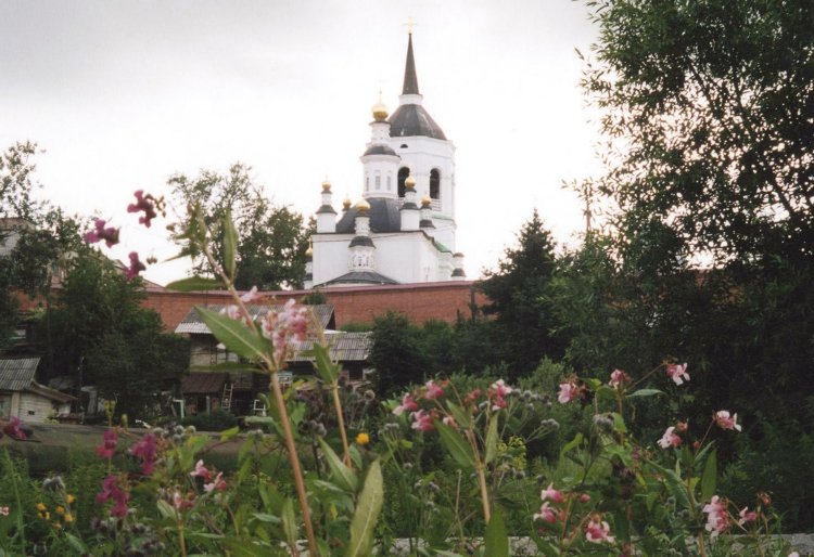 Богородице-Алексиевский монастырь, Томск (Томск, город, Томская область). общий вид в ландшафте
