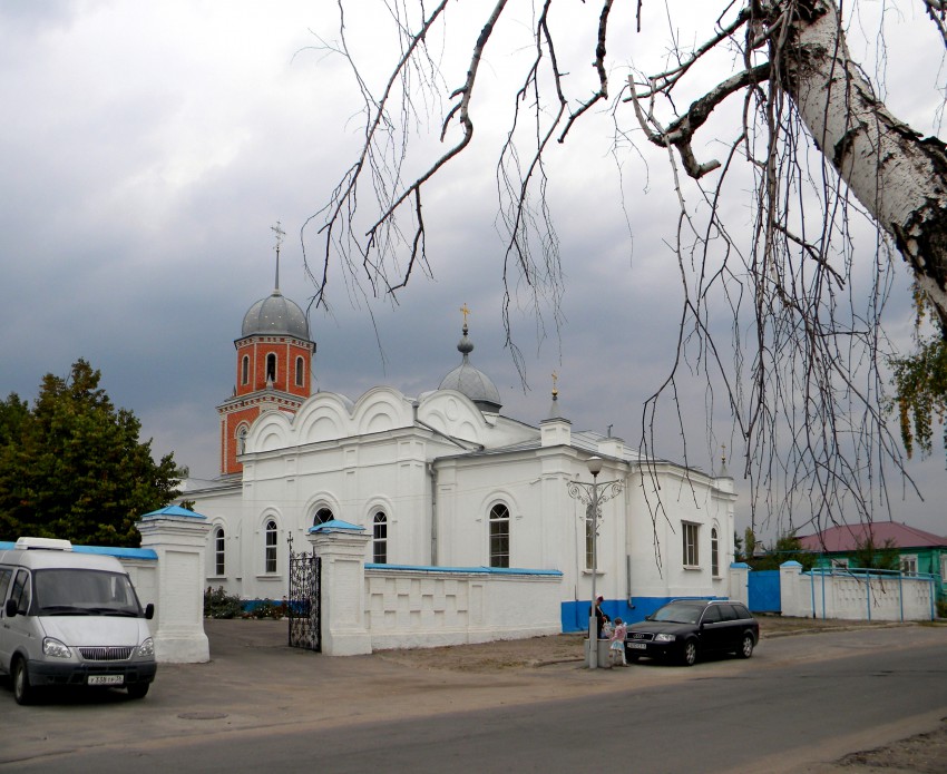 Церковь Покрова Пресвятой Богородицы, Павловск (Павловский район, Воронежская область). общий вид в ландшафте