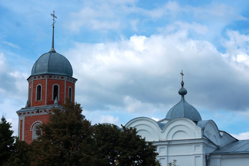 Павловск. Церковь Покрова Пресвятой Богородицы. общий вид в ландшафте