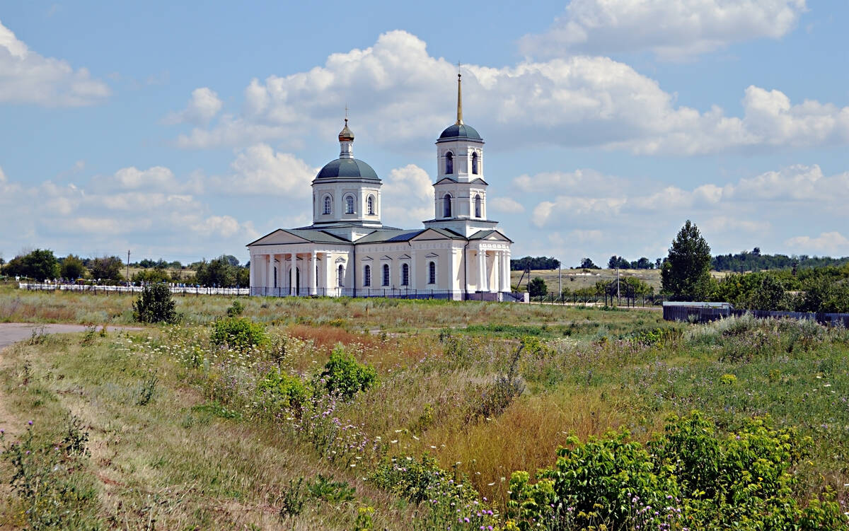 Церковь Казанской иконы Божией Матери, Владимировка (Лискинский район, Воронежская область). общий вид в ландшафте, Общий вид на ландшафте