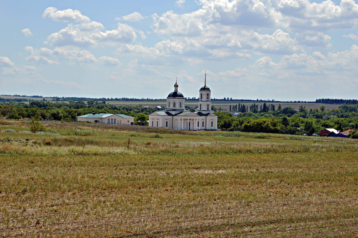 Церковь Казанской иконы Божией Матери, Владимировка (Лискинский район, Воронежская область). общий вид в ландшафте