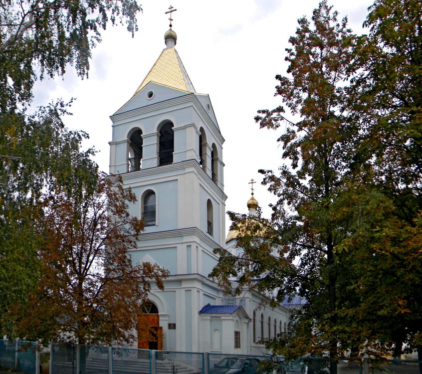 Церковь Казанской иконы Божией Матери, Павловск (Павловский район, Воронежская область). общий вид в ландшафте