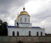 Церковь Казанской иконы Божией Матери, , Павловск, Павловский район, Воронежская область