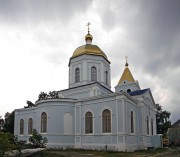 Церковь Казанской иконы Божией Матери, , Павловск, Павловский район, Воронежская область