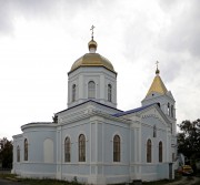 Церковь Казанской иконы Божией Матери, , Павловск, Павловский район, Воронежская область