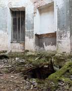 Семёновское. Михаила Архангела, церковь