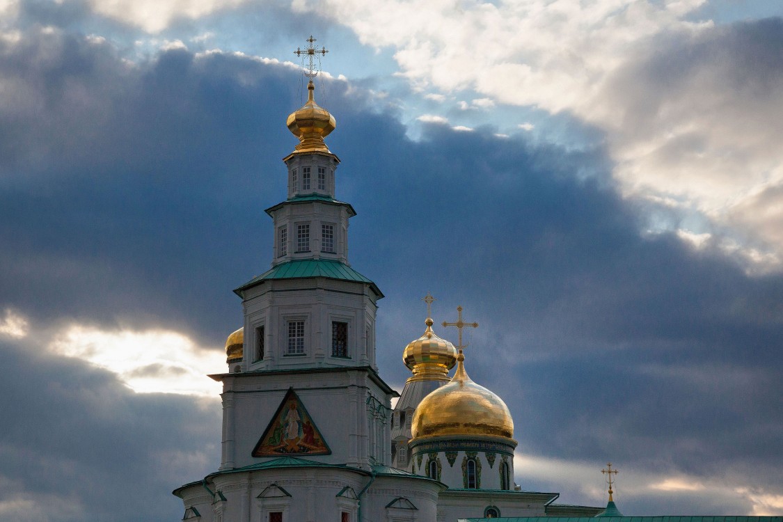 Воскресенский Новоиерусалимский монастырь. Надвратная церковь Входа Господня в Иерусалим, Истра (Истринский городской округ и ЗАТО Восход, Московская область). архитектурные детали