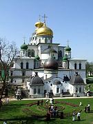 Воскресенский Новоиерусалимский монастырь. Собор Воскресения Христова, , Истра, Истринский городской округ и ЗАТО Восход, Московская область
