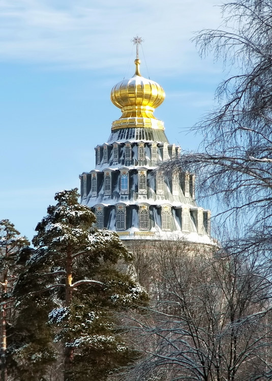 Истра. Воскресенский Новоиерусалимский монастырь. Собор Воскресения Христова. архитектурные детали