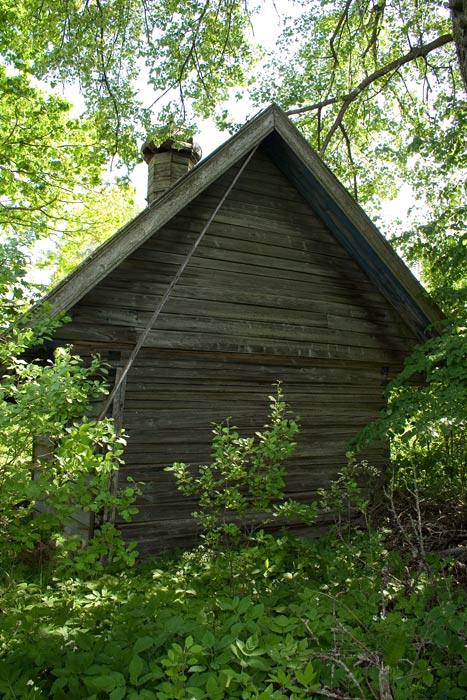 Неизвестная часовня, Софиевка (Солецкий район, Новгородская область). фасады, Задний фасад