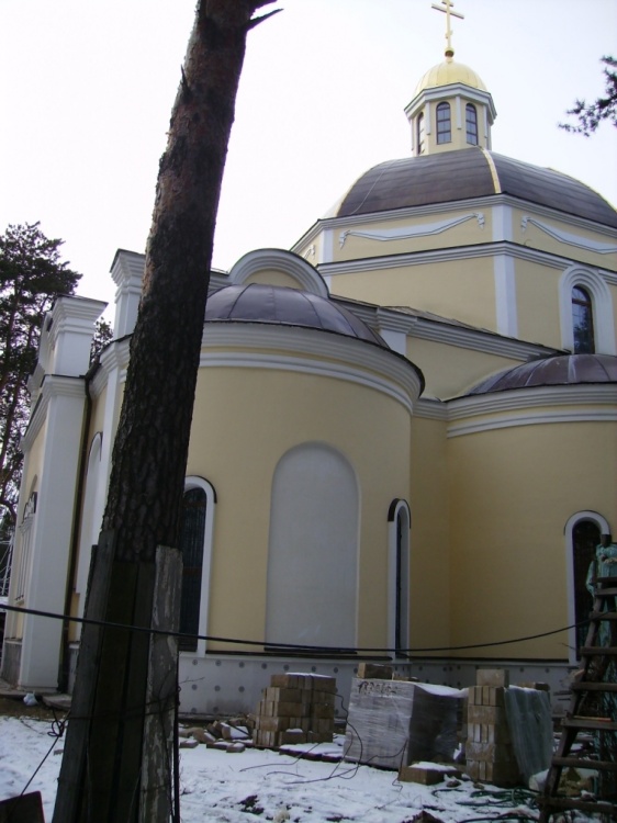 Церковь Покрова Пресвятой Богородицы при Центральной городской больнице, Жуковский (Раменский район и гг. Бронницы, Жуковский, Московская область). архитектурные детали
