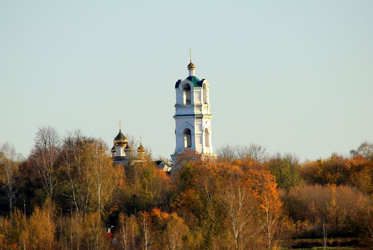 Церковь Троицы Живоначальной, Польцо (Вачский район, Нижегородская область). общий вид в ландшафте