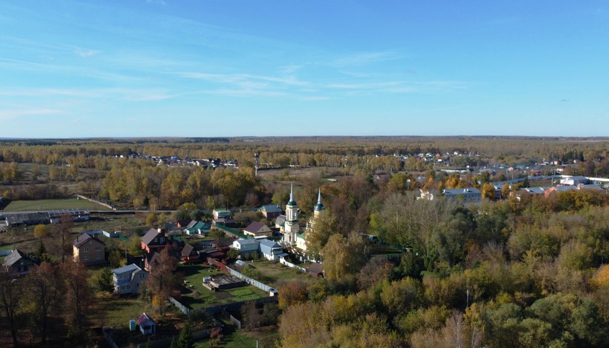 Церковь Николая Чудотворца, Черкизово (Коломенский городской округ, Московская область). общий вид в ландшафте
