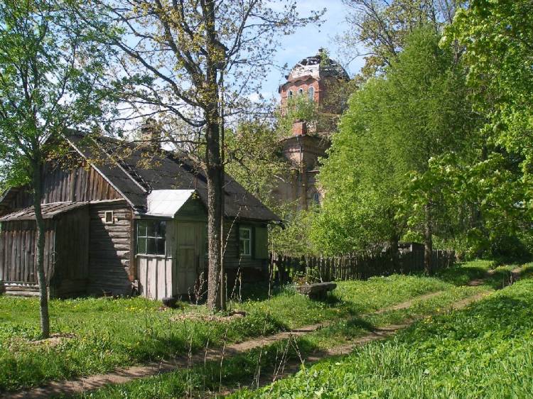 Церковь Николая Чудотворца, Крапивно (Гдовский район, Псковская область). общий вид в ландшафте