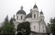 Черновцы. Духа Святого Сошествия, кафедральный собор