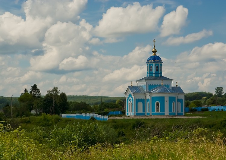 Церковь Иоанна Богослова, Протасово (Дубенский район, Тульская область). общий вид в ландшафте
