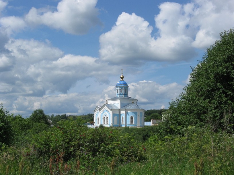 Церковь Иоанна Богослова, Протасово (Дубенский район, Тульская область). общий вид в ландшафте