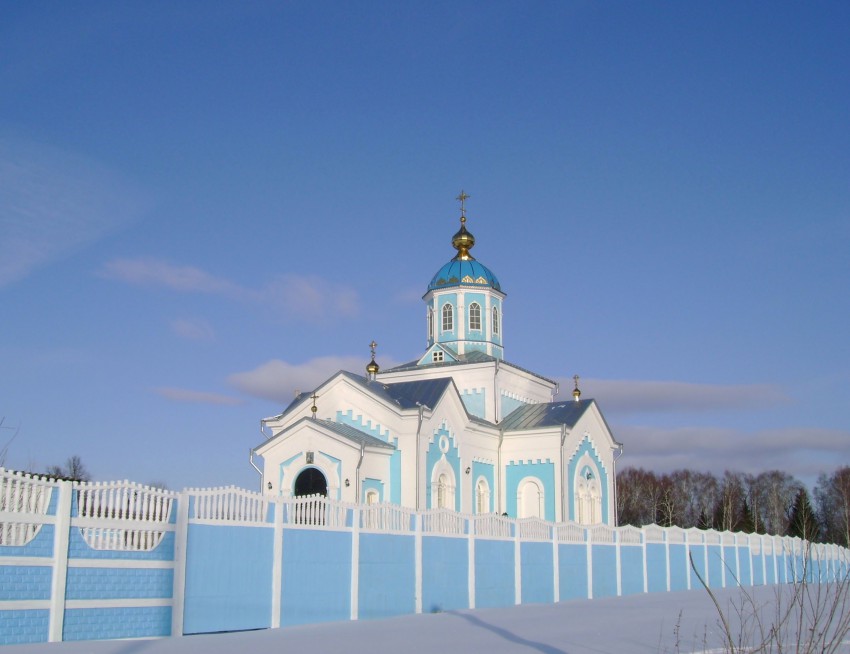 Церковь Иоанна Богослова, Протасово (Дубенский район, Тульская область). общий вид в ландшафте