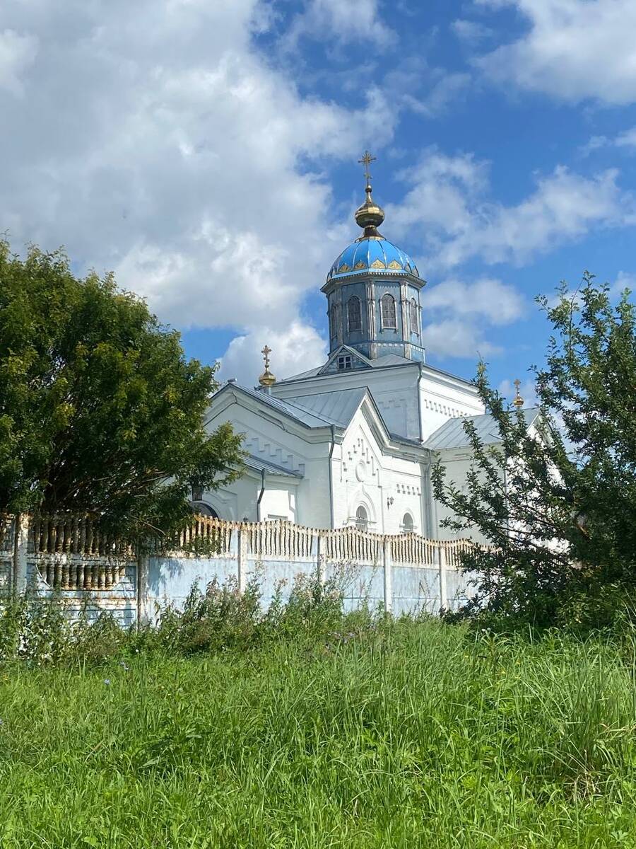 Церковь Иоанна Богослова, Протасово (Дубенский район, Тульская область). общий вид в ландшафте