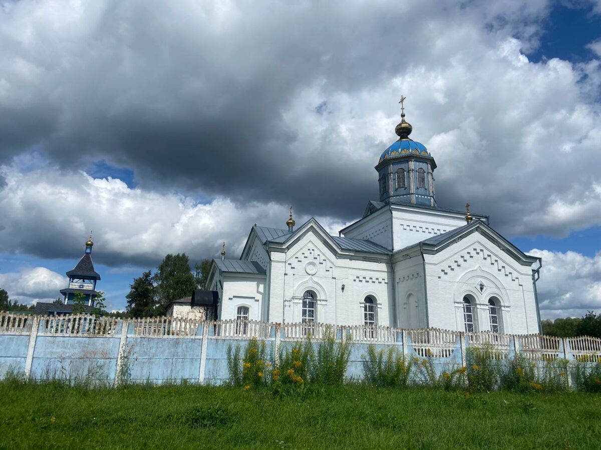 Церковь Иоанна Богослова, Протасово (Дубенский район, Тульская область). общий вид в ландшафте