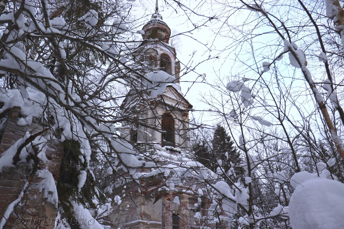 Церковь Николая Чудотворца, Никола-Остров, урочище (Чухломский район, Костромская область). архитектурные детали