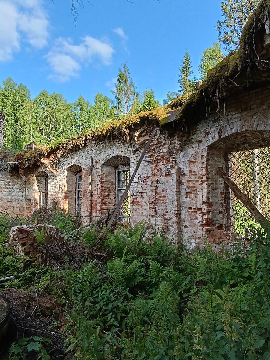 Церковь Николая Чудотворца, Никола-Остров, урочище (Чухломский район, Костромская область). архитектурные детали