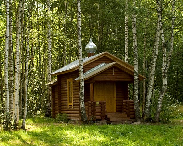 Церковь Антония Леохновского в Рублевской пустыни, Рублёво (Старорусский район, Новгородская область). фасады, Вид с юго запада