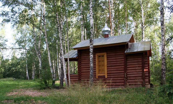 Церковь Антония Леохновского в Рублевской пустыни, Рублёво (Старорусский район, Новгородская область). фасады, Северный фасад