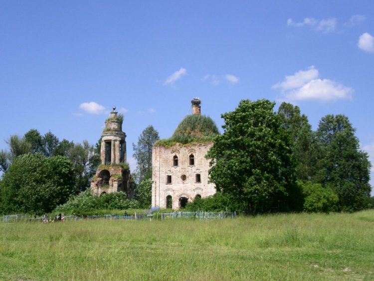 Церковь Покрова Пресвятой Богородицы, Покров (Оленинский район, Тверская область). общий вид в ландшафте, вид с юга