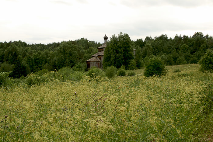 Церковь Илии Пророка, Ведягино (Плесецкий район, Архангельская область). общий вид в ландшафте