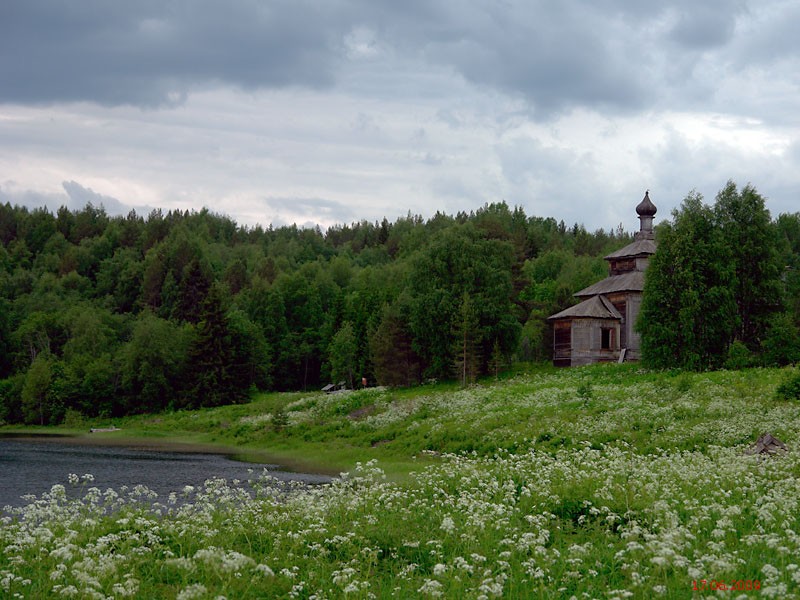 Церковь Илии Пророка, Ведягино (Плесецкий район, Архангельская область). общий вид в ландшафте