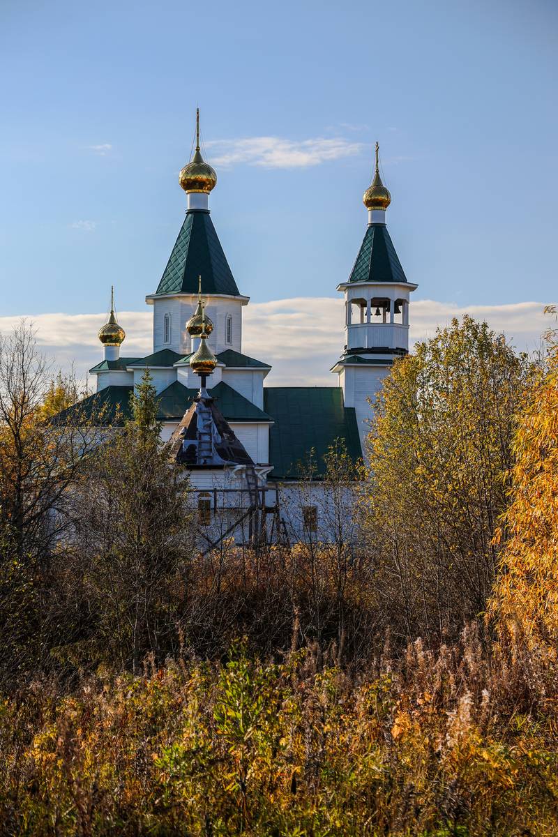 Церковь Троицы Живоначальной, Антоново (Пянда) (Виноградовский район, Архангельская область). дополнительная информация