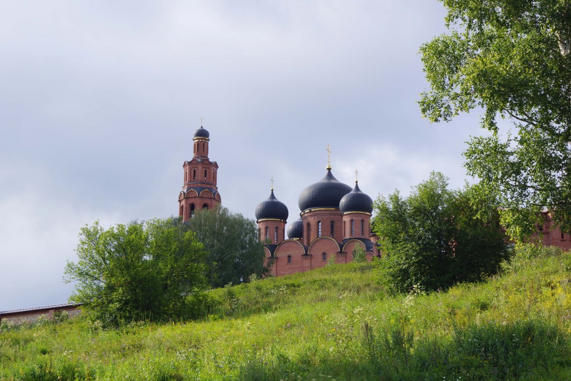 Успенский Георгиевский монастырь, Уса-Степановка (Благовещенский район, Республика Башкортостан). общий вид в ландшафте, Вид монастыря со стороны Уса-Степановки.