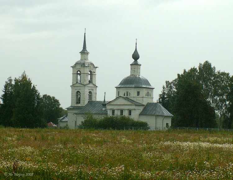 Церковь Покрова Пресвятой Богородицы, Милюково (Савинский район, Ивановская область). общий вид в ландшафте