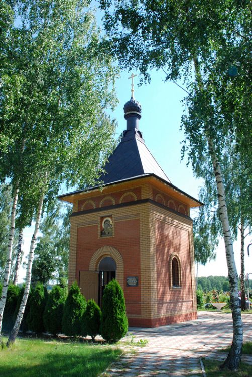 Часовня Казанской иконы Божией Матери на Домодедовском кладбище, Истомиха (Домодедовский городской округ, Московская область). общий вид в ландшафте, Вид с юго-западной стороны