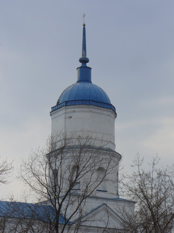Елабуга. Церковь Николая Чудотворца. архитектурные детали