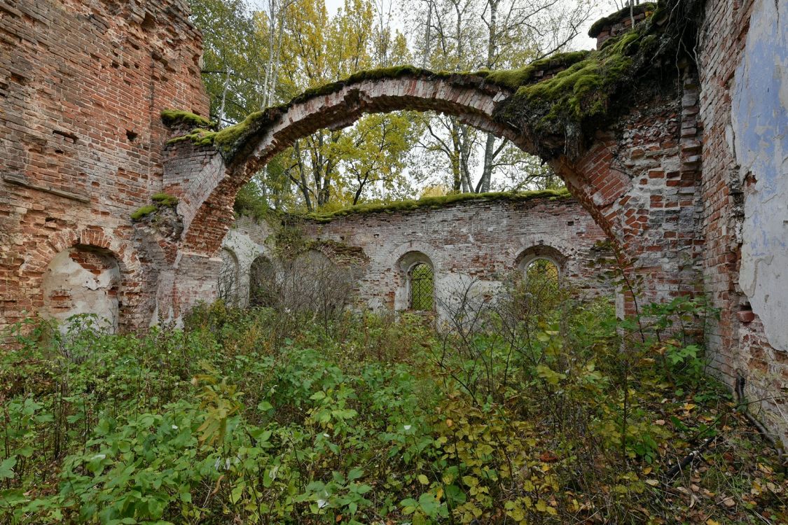 Церковь Спаса Преображения, Сосницы (Сосница) (Осташковский городской округ, Тверская область). архитектурные детали, Единственный сохранившийся фрагмент сводов трапезной - арка южного придела