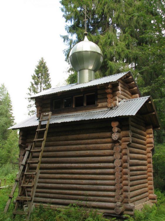 Часовня Мартирия Зеленецкого, Зеленец (Волховский район, Ленинградская область). общий вид в ландшафте