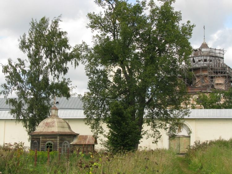 Троицкий Зеленецкий мужской монастырь. Неизвестная часовня, Зеленец (Волховский район, Ленинградская область). общий вид в ландшафте