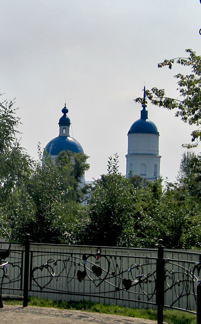 Елабуга. Церковь Николая Чудотворца. архитектурные детали
