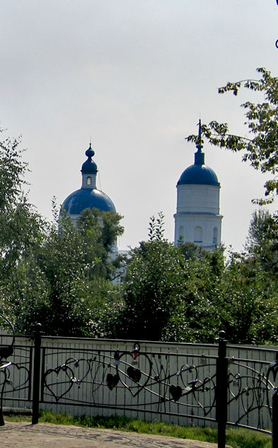 Церковь Николая Чудотворца, Елабуга (Елабужский район, Республика Татарстан). архитектурные детали