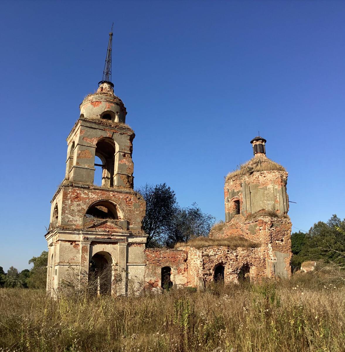 Церковь Успения Пресвятой Богородицы, Шеино (Мценский район и г. Мценск, Орловская область). фасады, Вид с юга