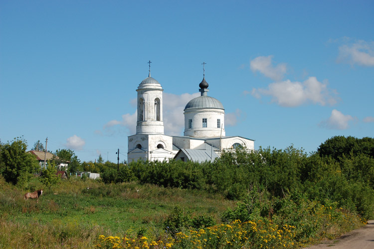 Церковь Михаила Архангела, Васильевка (Свердловский район, Орловская область). общий вид в ландшафте