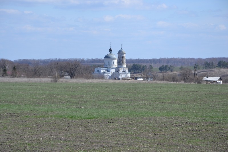 Церковь Михаила Архангела, Васильевка (Свердловский район, Орловская область). общий вид в ландшафте