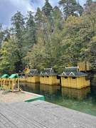 Цыгановка. Серафима Саровского на источнике преп.Серафима, часовня