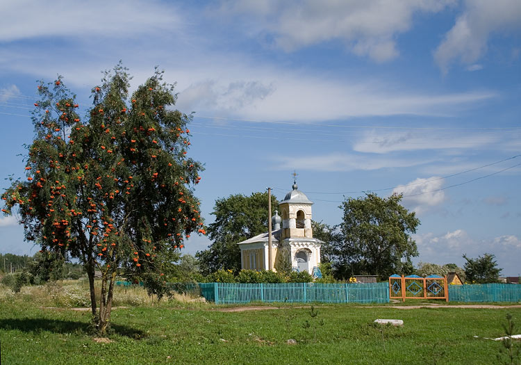 Церковь Саввы Вишерского, Савино (Новгородский район, Новгородская область). общий вид в ландшафте
